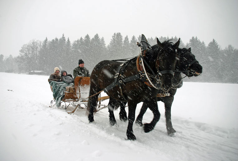 Kutschenfahrt im Winter