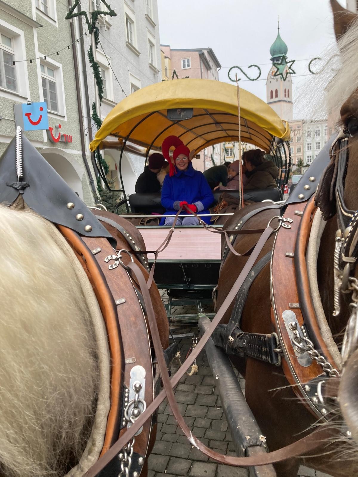 Wiggerl als Kutschenführerin