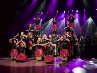 190204 stadt-landball 9522