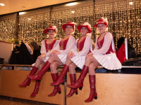 2019-rosenball-281