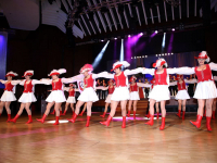 2019-rosenball-308