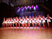 2019-rosenball-309