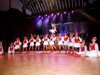 2019-rosenball-310