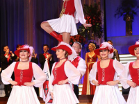 2019-rosenball-311
