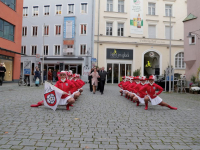 IMG 0204