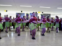 IMG 0490