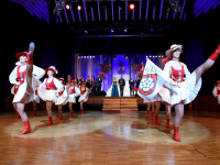 rosenball2018-0020