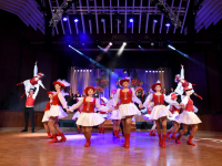 rosenball2018-0022