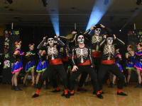 rosenball2018-0072